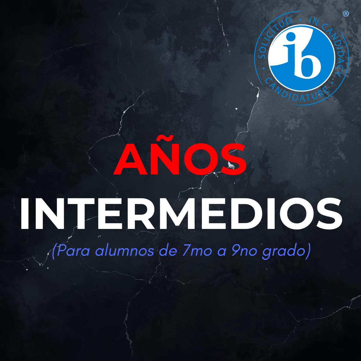 AÑOS INTERMEDIOS IB