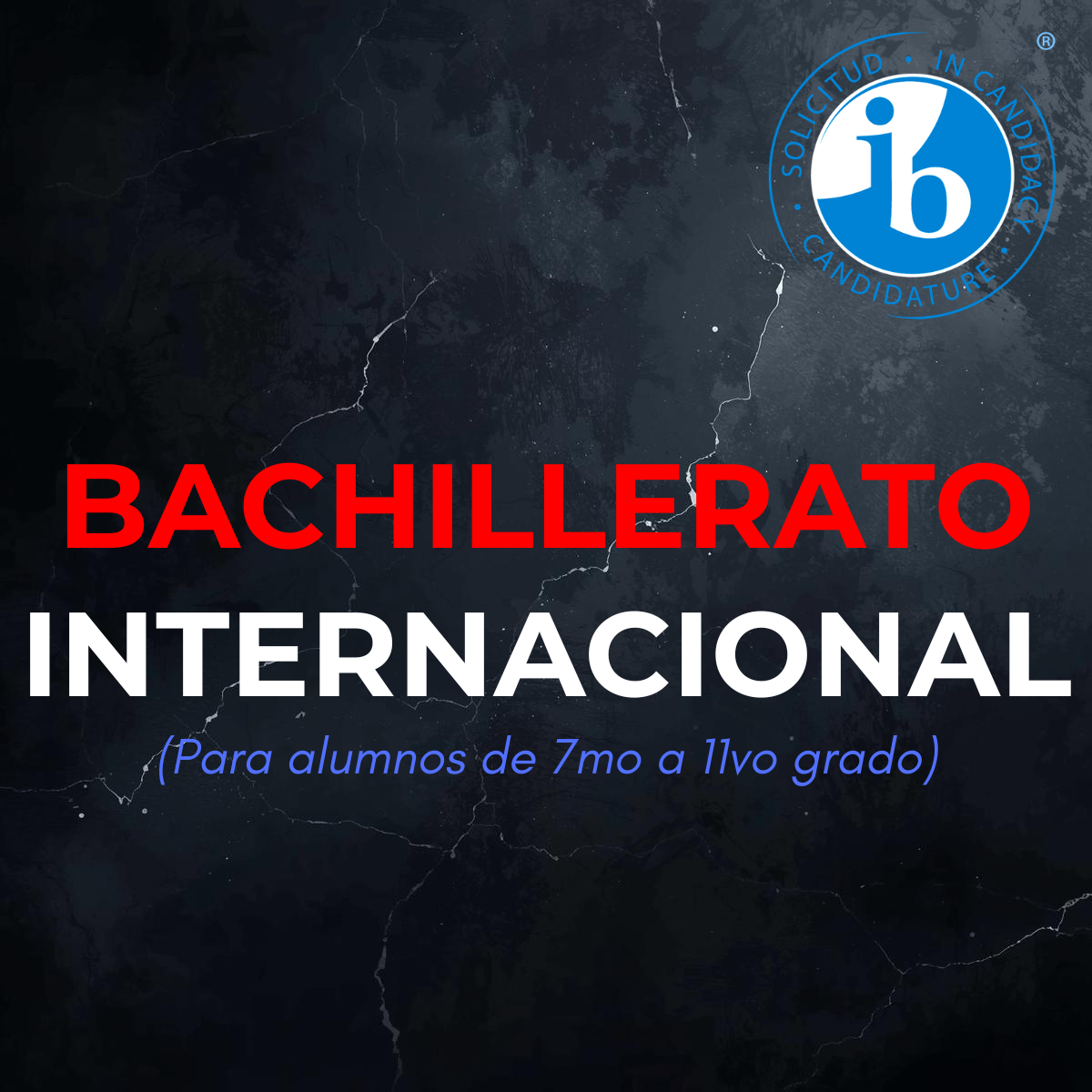 BACHILLERATO INTERNACIONAL