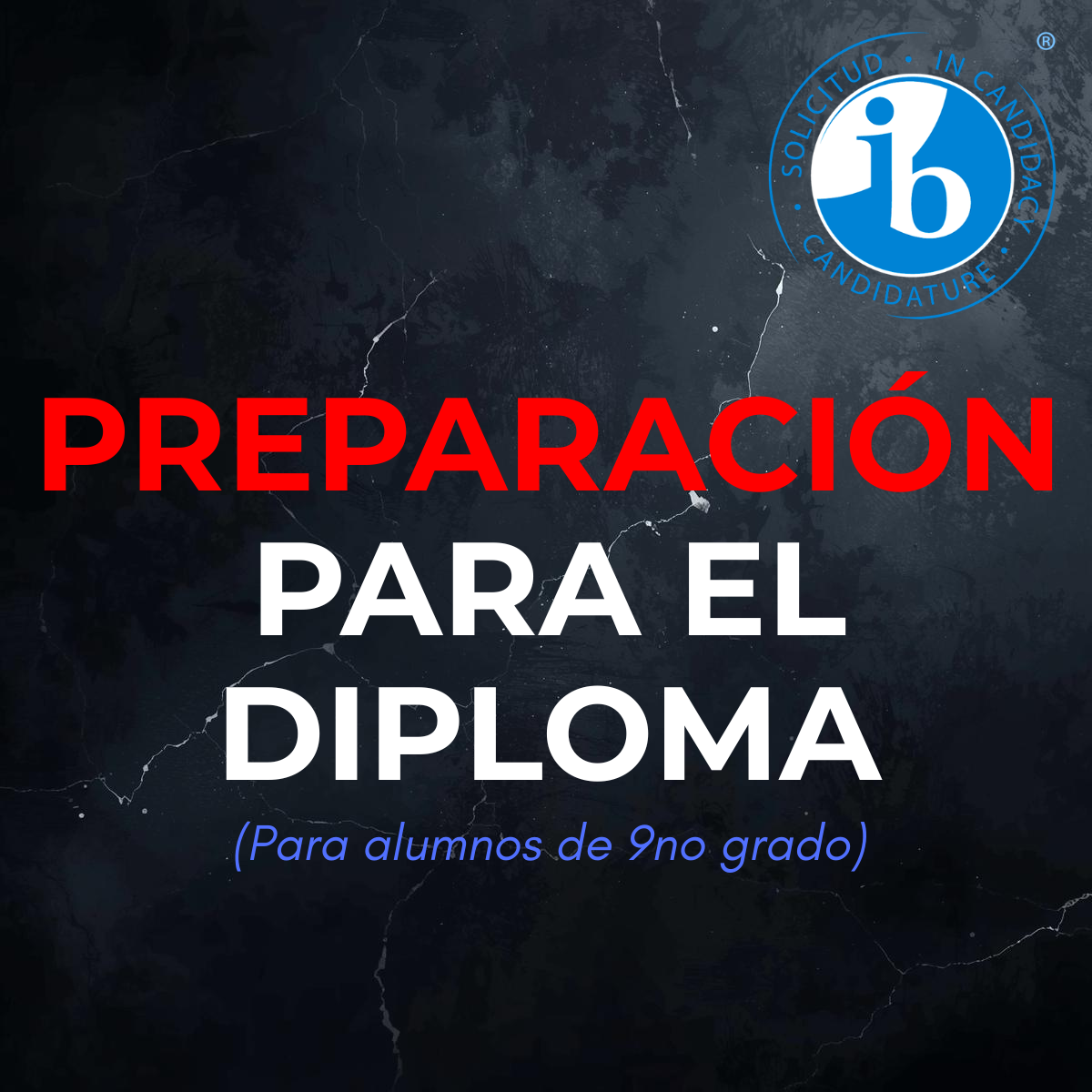 PREPARACIÓN PARA EL DIPLOMA